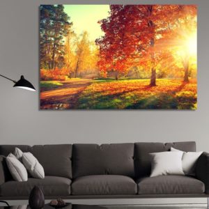 dekoracia za steni